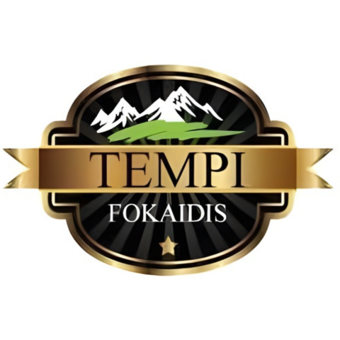 Tempi Fokaidis