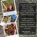 Charisma Bio Olivenöl 1,0l Vassilakis Estate GR-BIO-03